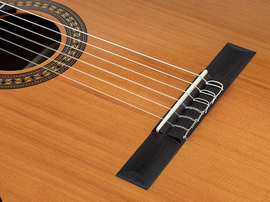 Salvador Cortez CC-22L Artist Series Klassieke Gitaar – afbeelding 5