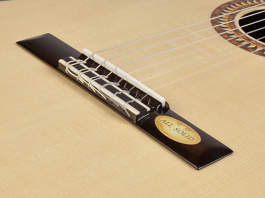 Salvador Cortez CS-130-E Master Series Klassieke Gitaar – afbeelding 5