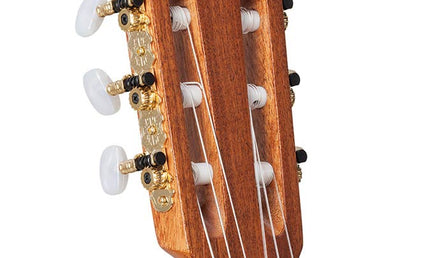 classic guitar solid spruce and walnut, rosewood fingerboard,  gloss finish