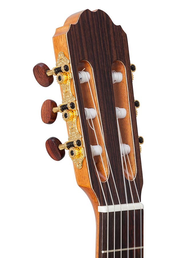 Kremona - F65CW - Classic Guitar Solid Cedar Top and Rosewood
