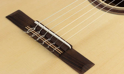 classic guitar solid spruce and solid walnut, gloss finish