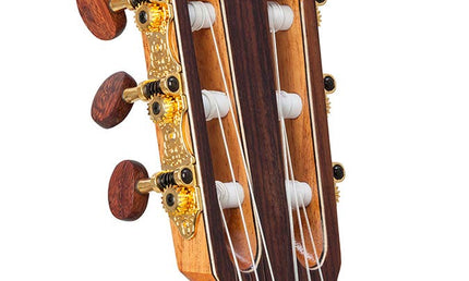 classic guitar solid red cedar and solid indian rosewood, gloss finish