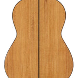 Kremona - ROSA D - Classic Guitar ROSA DIVA Solid Spruce and Solid Indian Silver Oak