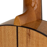 Kremona - ROSA D - Classic Guitar ROSA DIVA Solid Spruce and Solid Indian Silver Oak