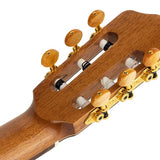 Kremona - ROSA D - Classic Guitar ROSA DIVA Solid Spruce and Solid Indian Silver Oak