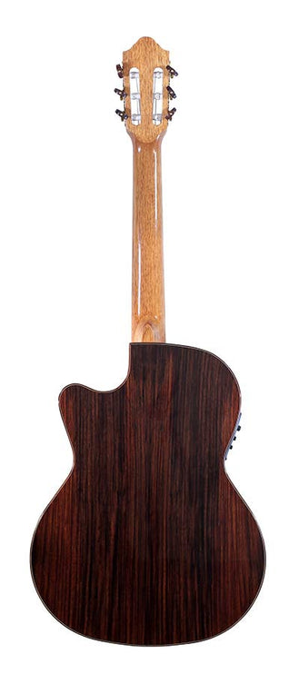 classic guitar solid red cedar and indian rosewood, gloss finish - with Fishman Classic 3