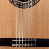Kremona - VEREA - Classic Guitar Solid Red Cedar and Indian Rosewood