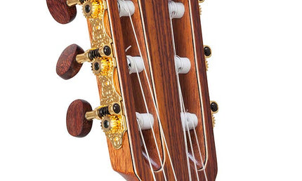 classic guitar solid red cedar and indian rosewood, gloss finish - with Fishman Classic 3