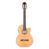 classic guitar solid red cedar and indian rosewood, gloss finish - with Fishman Classic 3