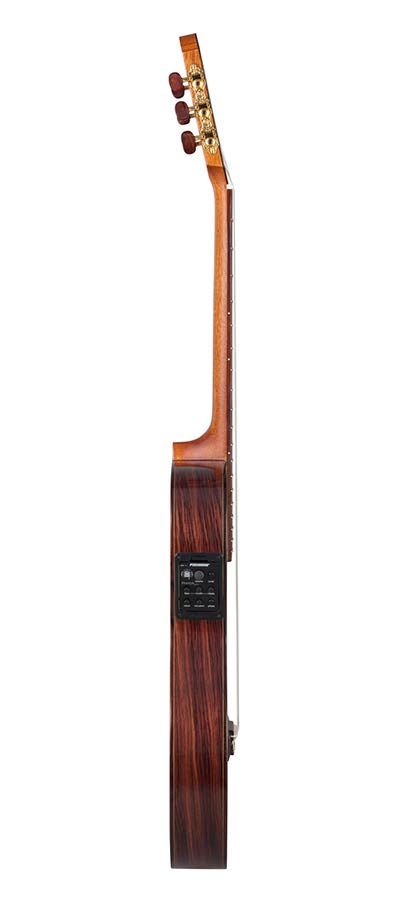 Kremona - F65CW-TLR - Thinline Classic Guitar Solid Cedar and  Indian Rosewood