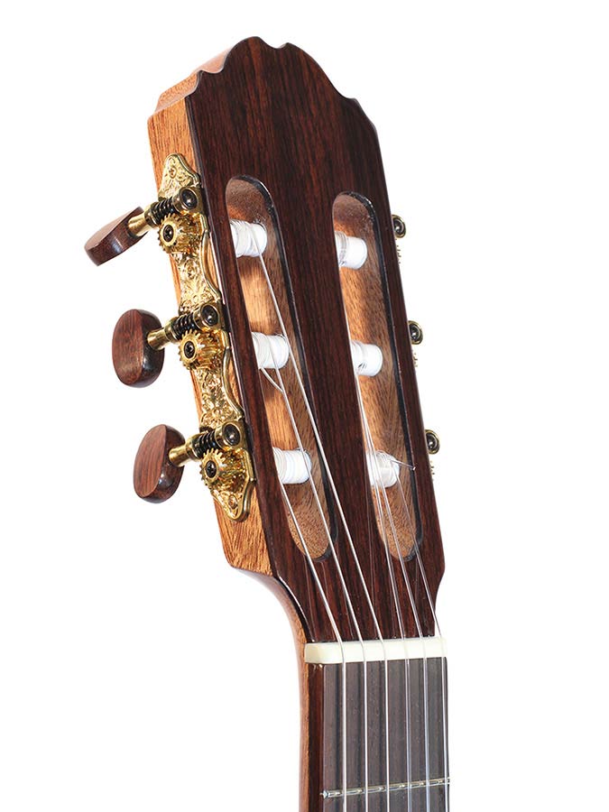 Kremona - F65CW-TLR - Thinline Classic Guitar Solid Cedar and  Indian Rosewood