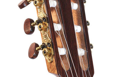 thinline classic guitar solid cedar and indian rosewood, gloss finish - with Fishman Presys Pro