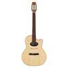 classic guitar solid spruce and walnut, 14 fret, gloss finish - with LR Baggs EAS