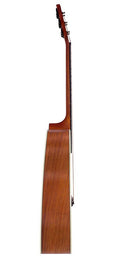 dreadnought guitar, spruce top, mahogany back & sides, amara ebony fb, natural