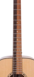 dreadnought guitar with solid spruce top, mahogany back & sides, amara ebony fb, natural