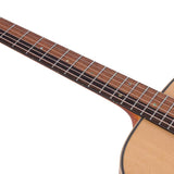 dreadnought guitar with solid spruce top, mahogany back & sides, amara ebony fb, natural