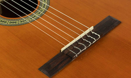 classic guitar cedar + sapele, glossy finish -  lefthanded