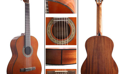 classic guitar cedar + sapele, glossy finish -  lefthanded