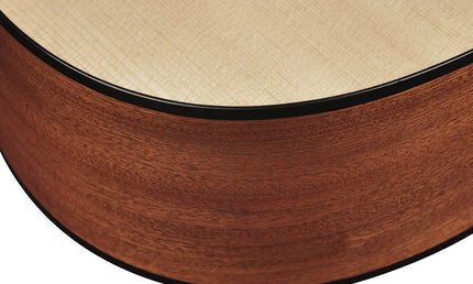 Richwood - D-240-C - Custom Shop Dreadnought
