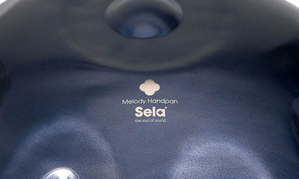 steel handpan D Kurd 440 hz, with padded bag