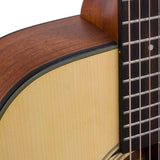 dreadnought guitar, spruce top, mahogany back & sides, amara ebony fb, natural