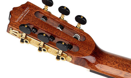 stage guitar solid Canadian cedar top + sapele, glossy finish - cutaway and Fishman Clasica II