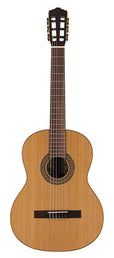 classic guitar solid Canadian cedar top + Indian rosewood, glossy finish