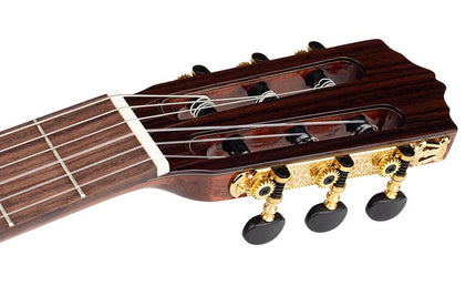 classic guitar, solid cedar top,rosewood b&s, glossy finish - cutaway and Fishman Clásica II