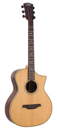 concert guitar all solid tonewoods, amara eb back & sides & fb, Fishman, natural, heavy duty bag