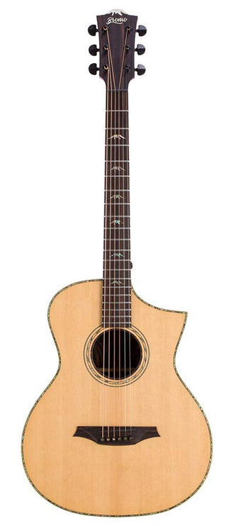 concert guitar all solid tonewoods, amara eb back & sides & fb, Fishman, natural, heavy duty bag