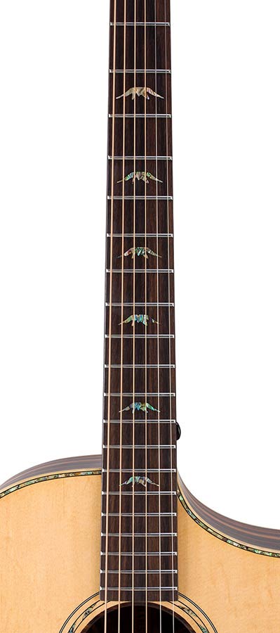 concert guitar all solid tonewoods, amara eb back & sides & fb, Fishman, natural, heavy duty bag