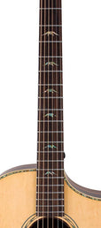 concert guitar all solid tonewoods, amara eb back & sides & fb, Fishman, natural, heavy duty bag