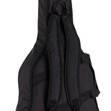 concert guitar all solid tonewoods, amara eb back & sides & fb, Fishman, natural, heavy duty bag