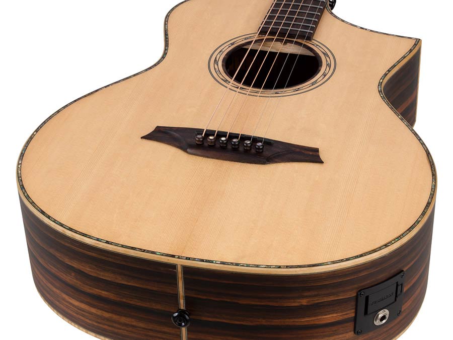 concert guitar all solid tonewoods, amara eb back & sides & fb, Fishman, natural, heavy duty bag