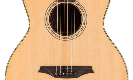 concert guitar all solid tonewoods, amara eb back & sides & fb, Fishman, natural, heavy duty bag