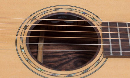 concert guitar all solid tonewoods, amara eb back & sides & fb, Fishman, natural, heavy duty bag