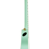 Cascha - HH 2287 - Carbon Fiber Concert Ukelele with Softcase - Mint