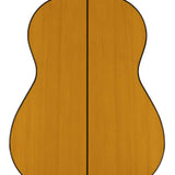 Salvador Cortez - Sevillana B/Y - Flamenco Guitar Blanca Amber