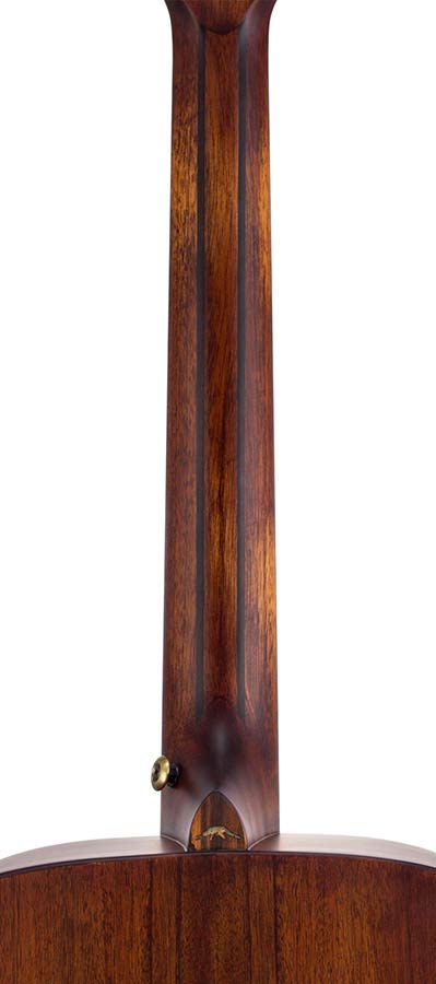 dreadnought guitar all solid mahogany, amara ebony fb, natural aged, with heavy duty bag