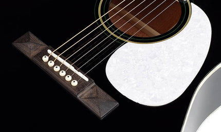 Richwood - Hsd-55-Bk - Dreadnought Guitar With Solid Spruce Top – Top, Black