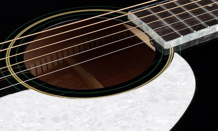 Richwood - Hsd-55-Bk - Dreadnought Guitar With Solid Spruce Top – Top, Black