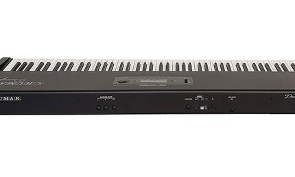 digital piano PARSIFAL, 88 keys, with sustain pedal