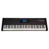 digital piano PARSIFAL, 88 keys, with sustain pedal