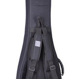 Sire Basses - V10 5/tbks - Swamp Ash + Poplar Burl 5-String Active Bass Guitar – Transparent Black