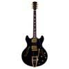 electric archtop guitar with tremolo, black