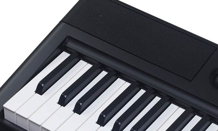 digital compact stage piano, 88 keys hammer action (GAC), with styles, 2 x 20 watt - black