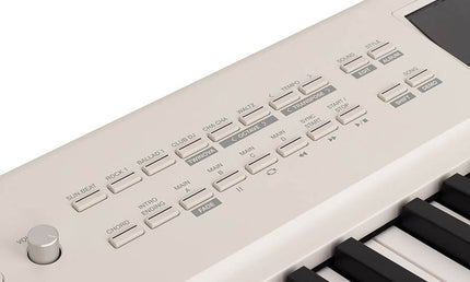 digital compact stage piano, 88 keys hammer action (GAC), with styles, 2 x 20 watt - white