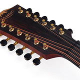 12-string auditorium guitar, solid spruce top, mahogany b&s, cutaway+EQ, amara ebony fb, gigbag