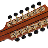 12-string auditorium guitar, solid spruce top, mahogany b&s, cutaway+EQ, amara ebony fb, gigbag