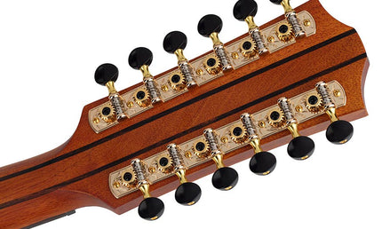 12-string auditorium guitar, solid spruce top, mahogany b&s, cutaway+EQ, amara ebony fb, gigbag